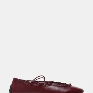 Bailarinas Pointe Vinotinto